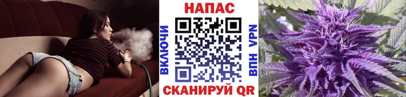 Что такое Кедровый АМФЕТАМИН  Кокаин  A PVP  Меф  ГАШ 