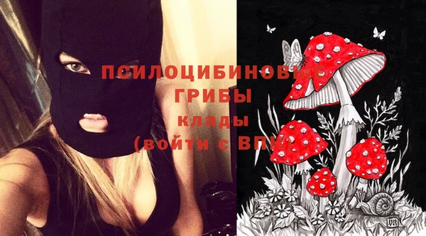 круглые Ельня