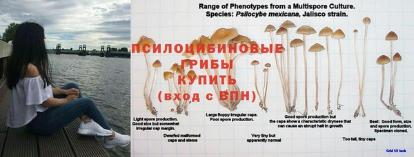 круглые Ельня